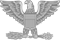 Colonel